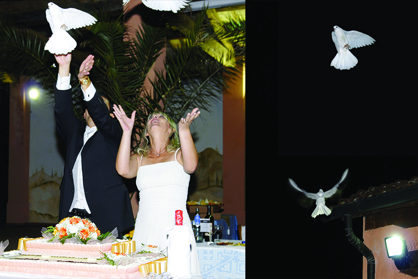 Marzia Fregni wedding planner designer decoratrice floreale nozze matrimonio volo colombe torta nuziale cataring