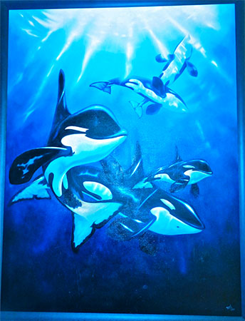 Orca